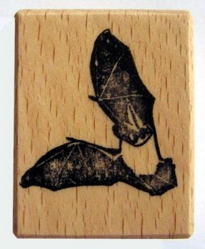 Fledermausstempel Langohr
